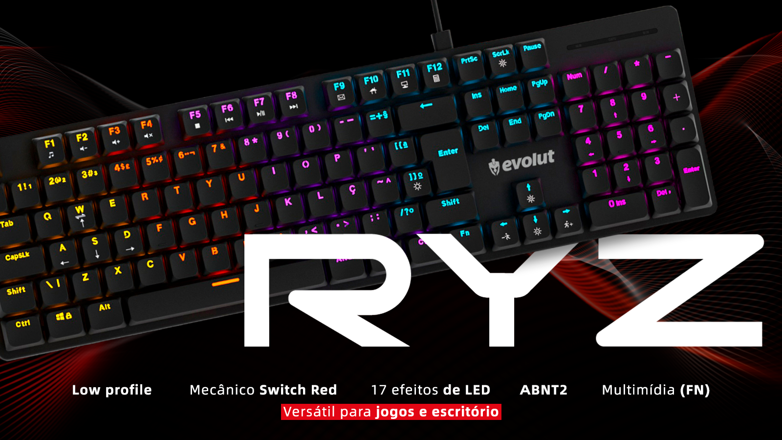 banner_02-_ryz